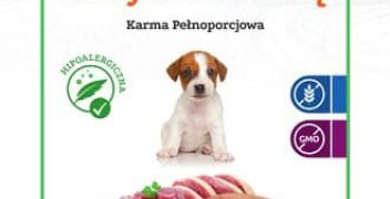 Wyprzedaż karm boomerang