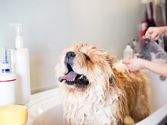 Promocja na jesienną kąpiel!