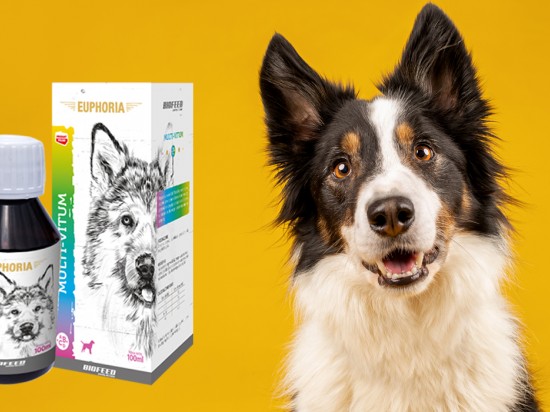 Psie i kocie witaminy? Multi-Vitum!