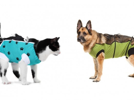 Opatrunki pooperacyjne