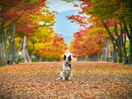 Pożegnanie lata -  impreza - już jutro!