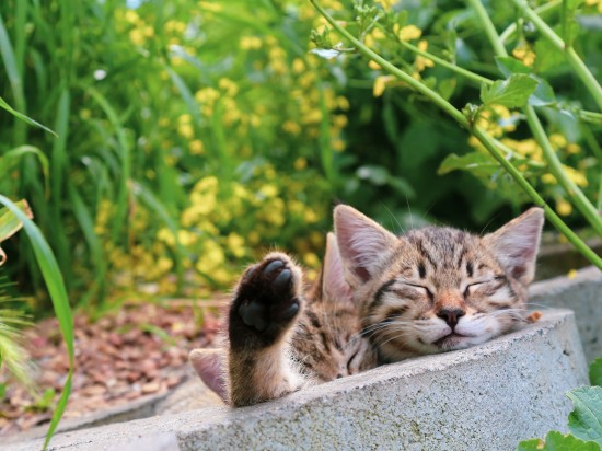 Świętuj z nami i kupuj taniej!