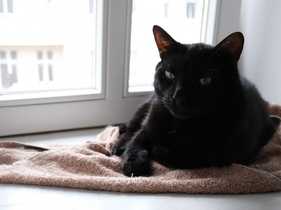 Niebezpieczeństwo ukryte w oknach <i class='mr-2 float-end fas fa-volume-up'></i>