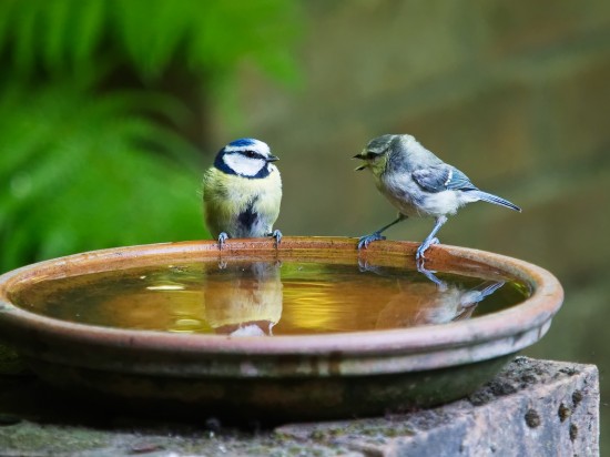 Pasja czy nadgorliwość?