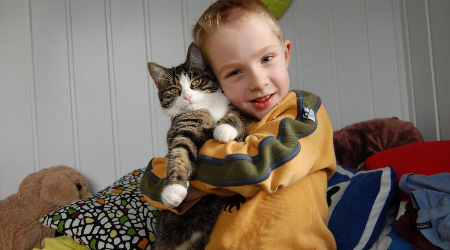 Relacje kota z dzieckiem