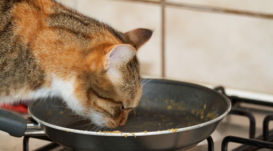 Pierwsza pomoc z oparzeniem