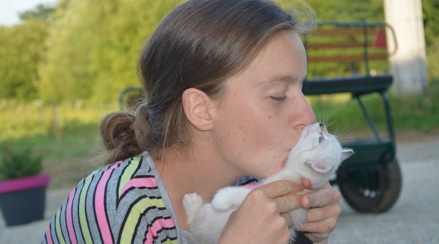 Jakich ludzi koty nie pokochają?