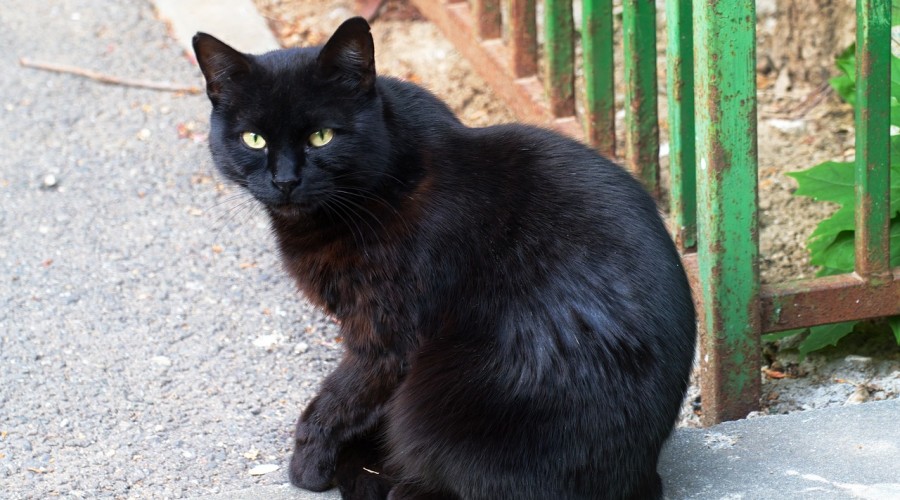 Pomaganie dla pomagania