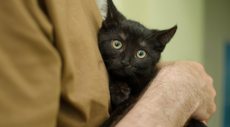 Kiedy pomoc nie pomaga