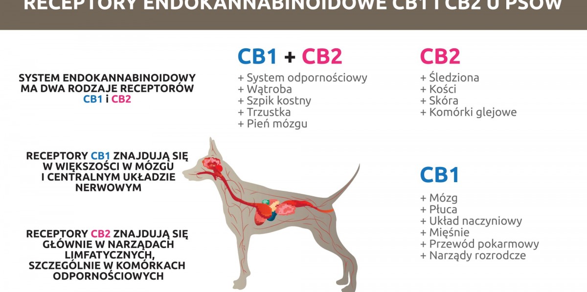 Olej konopny CBD dla zwierząt