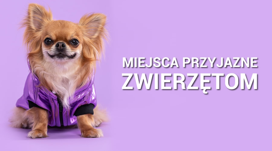 Miejsca przyjazne zwierzętom